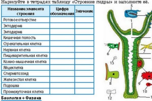 Какая ссылка на кракен