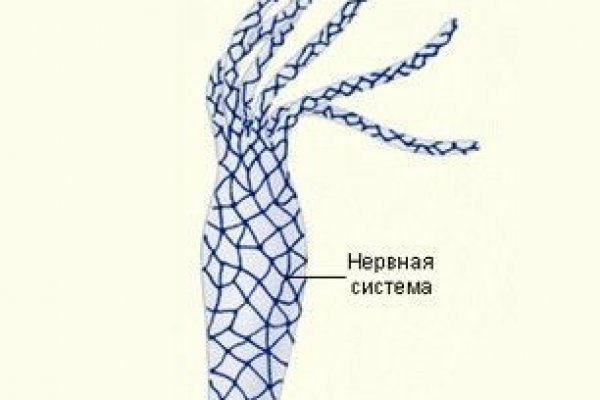 Кракен даркнет сайт