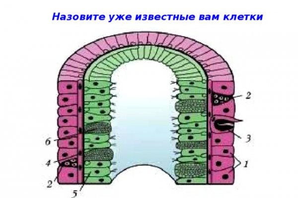 Кракен рабочая ссылка 2024