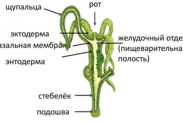 Кракен 16